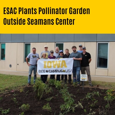 Seamans Center garden