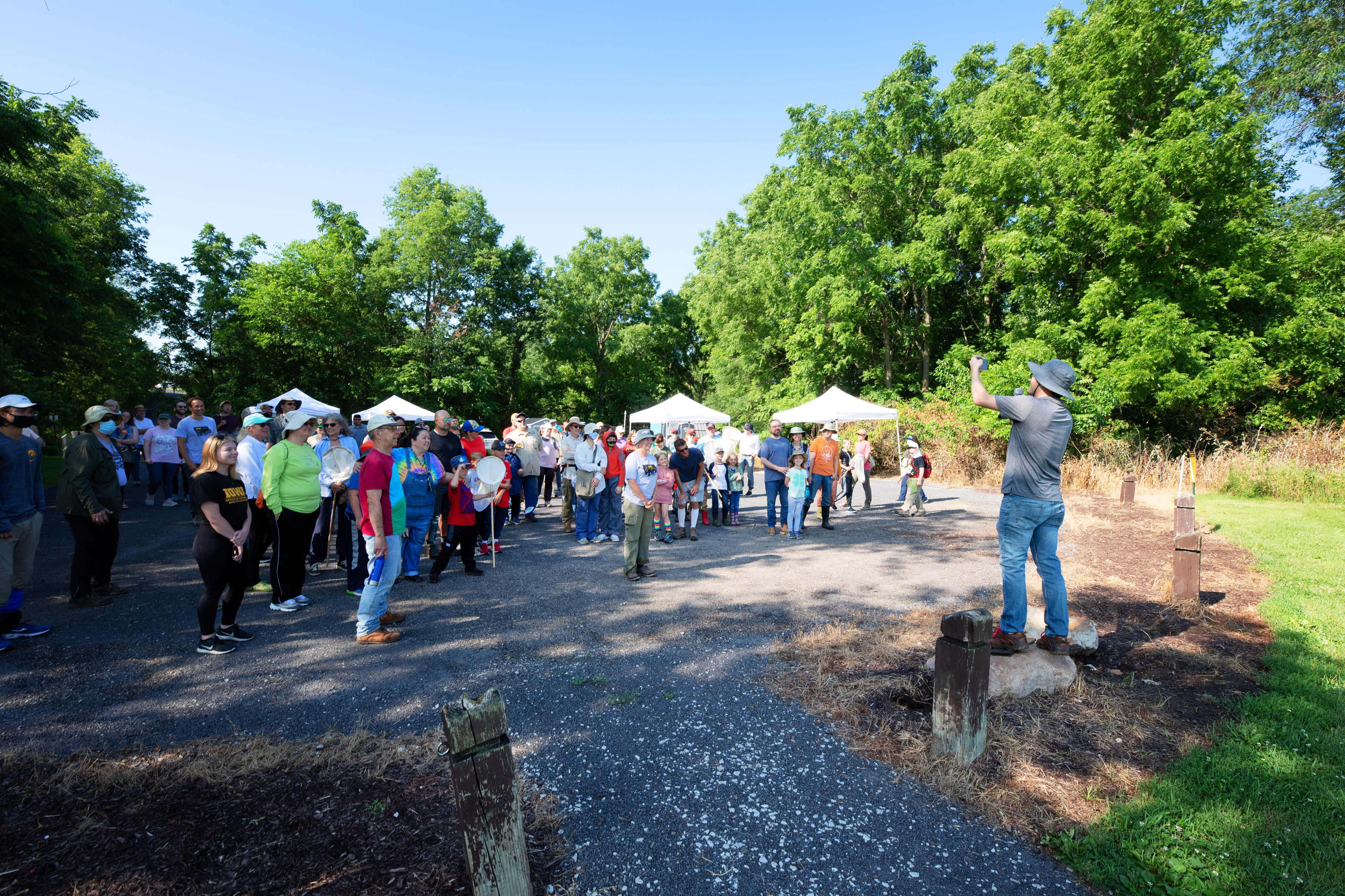 bioblitz crowd