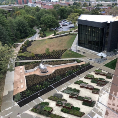 Pharmacy garden