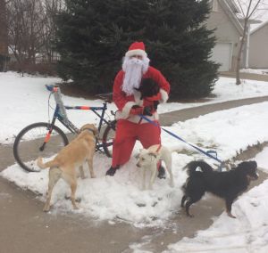 Santa Suit Bike Commute with NonMagical Reindeer DavidMoser3