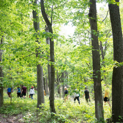 Macbride Nature Recreation Area