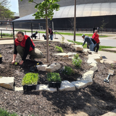 Catlett pollinator garden