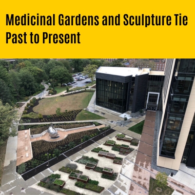 Medicinal garden